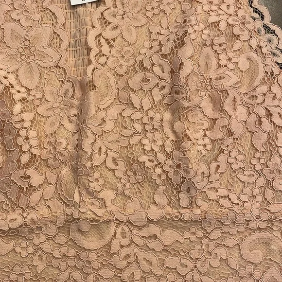 Blushing Lace Smocked Top by Express - Picture 6 of 16